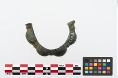 Foto von Bronzearmreif (NHMW-PRAE-023813)